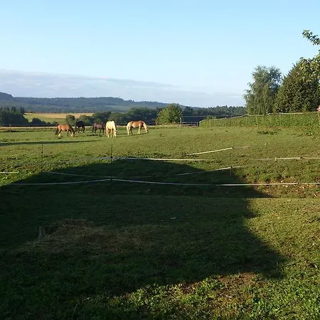 Blackjack Ranch