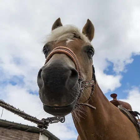 Blackjack Ranch 3*