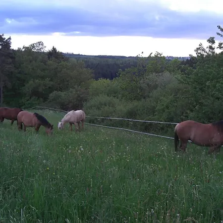 Blackjack Ranch Отель типа 