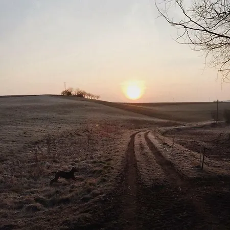 Blackjack Ranch