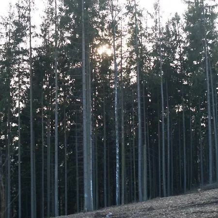 Blackjack Ranch Отель типа 
