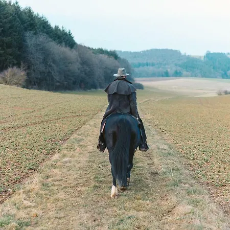Blackjack Ranch Отель типа 